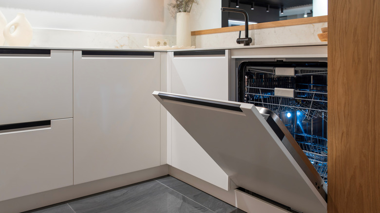 Kitchen featuring built-in dishwasher