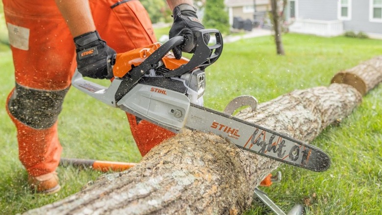 person using a Stihl MS 172 chainsaw on a fallen tree trunk