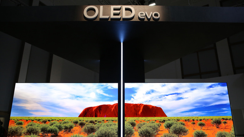 A huge LG OLED evo panel demonstration at a trade show, with the name of the technology above the TVs