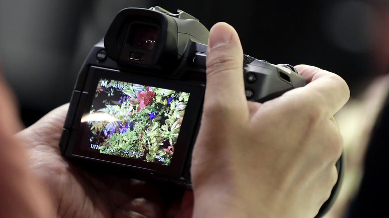 Man holding mirrorless camera