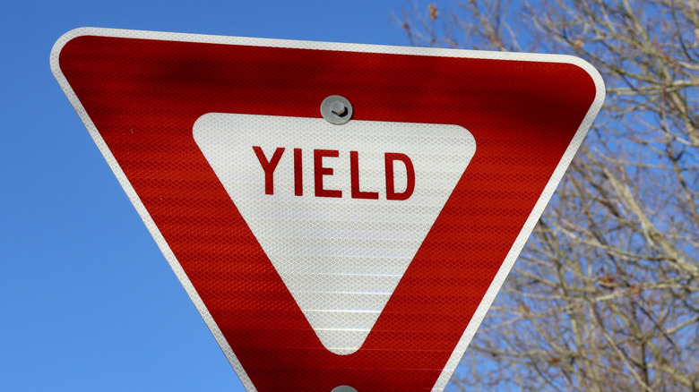 Close-up of red yield road sign with winter tree and blue sky in background
