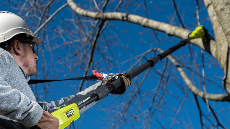 Ryobi Whisper Series tree trimmer