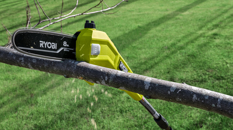 A Ryobi tree trimmer in action