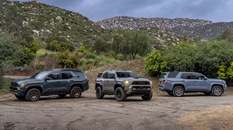 A group of 2025 Toyota 4Runner models