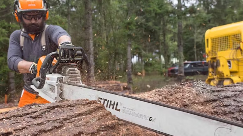 Stihl MS 881 Magnum being used to cut a tree