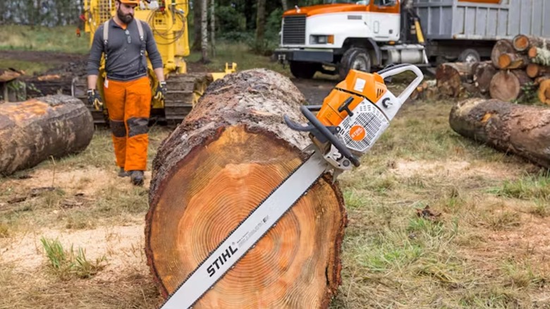 Stihl MS 881 Magnum on display next to fallen tree