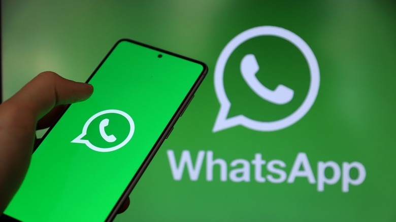 smartphone displaying WhatsApp logo