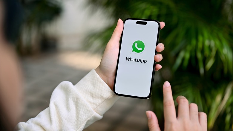 WhatsApp logo on mobile
