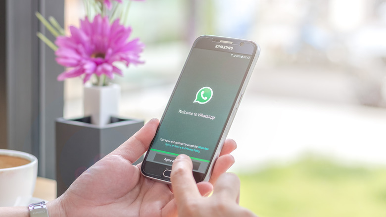 Setting up WhatsApp