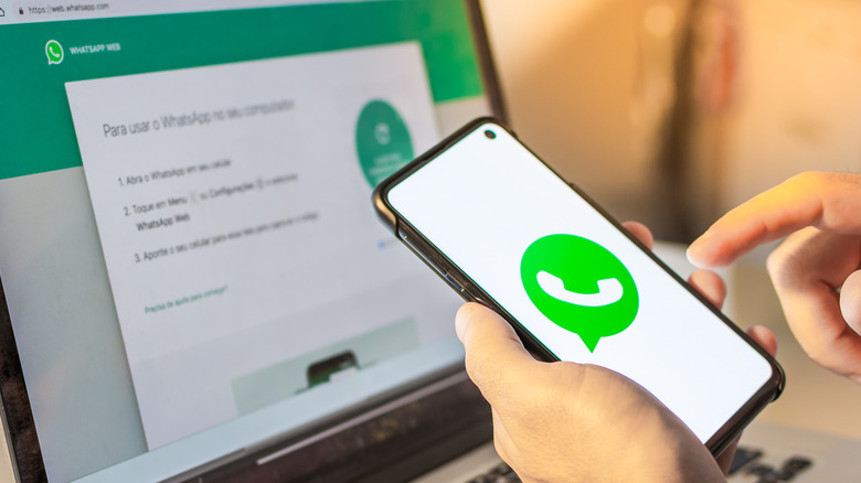 Setting up WhatsApp web