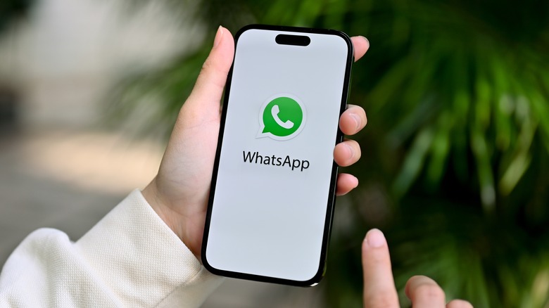 WhatsApp logo smartphone