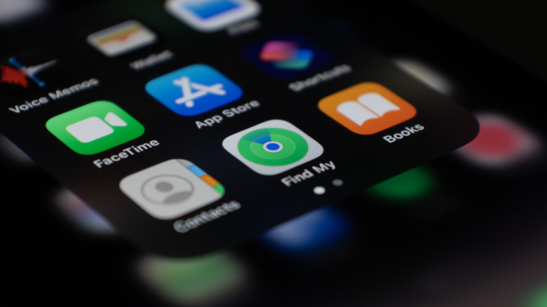 The Find My app icon on an iPhone screen