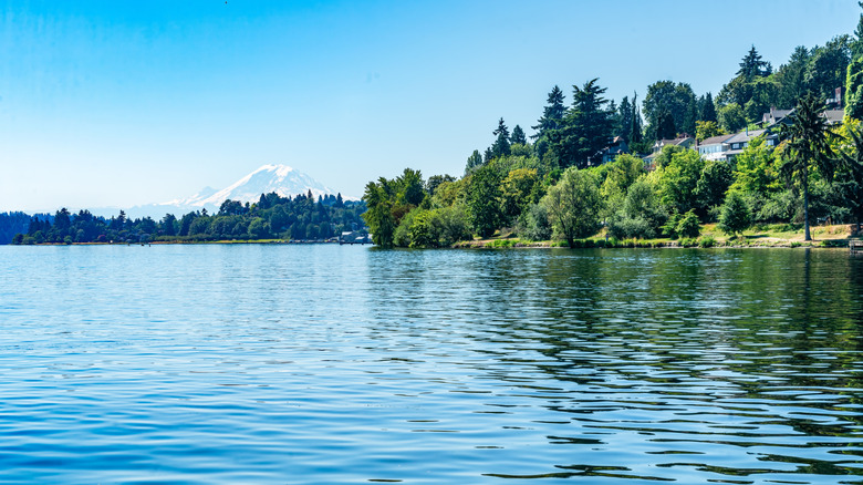 lake washington