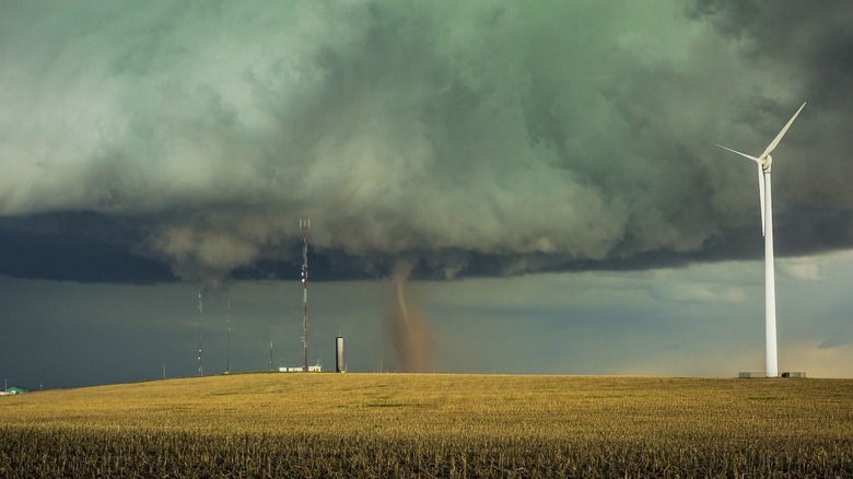 tornado falling over corn field