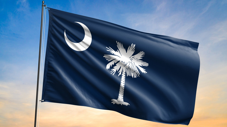 South Carolina state flag blowing in wind