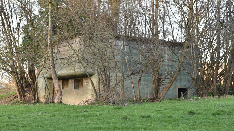 Swiss nuclear bunker above ground surrounded by trees