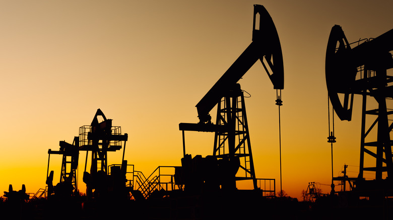 Oil polygon area with black contours of nodding donkeys on agricultural field