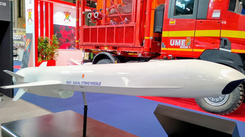 A ship-launched cruise missile