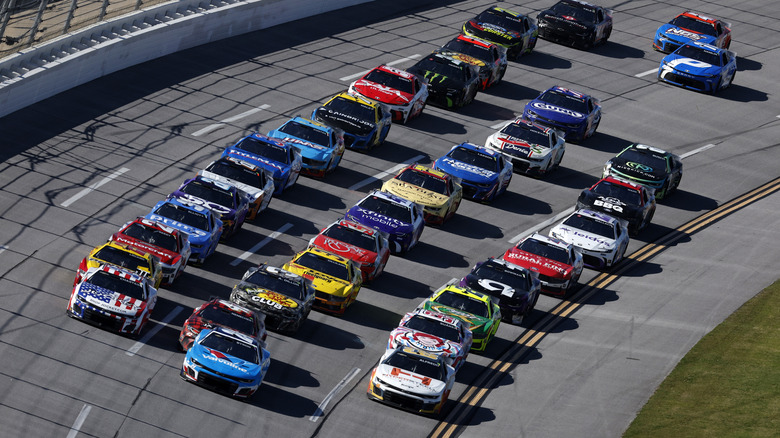 NASCAR stock cars lined up at Tallageda