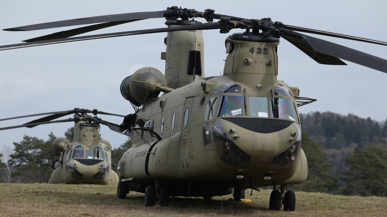 Two Chinook helicopters parked in tandem in grass