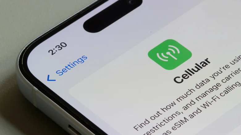 Cellular settings page is seen on an iPhone