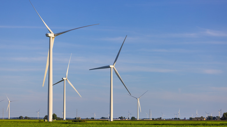 Wind turbines at the Callahan Divide Wind Energy Center in Texas