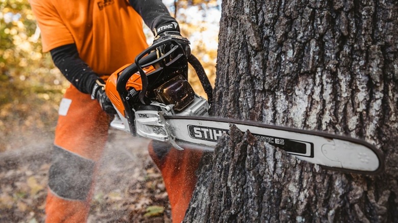 Someone using the Stihl MS500i on a tree.