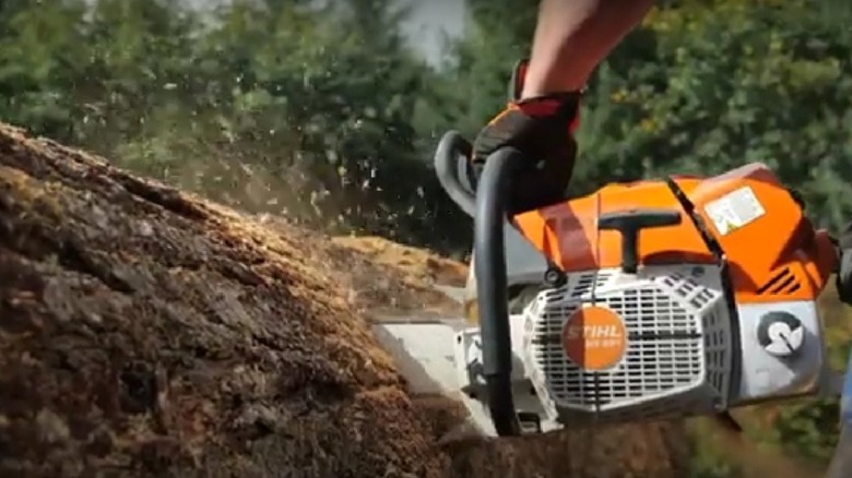 The Stihl MS 881 Magnum powering through a fallen tree.
