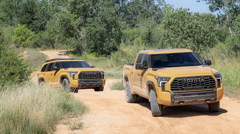 Yellow Toyota Sequoia and Tundra off-roading