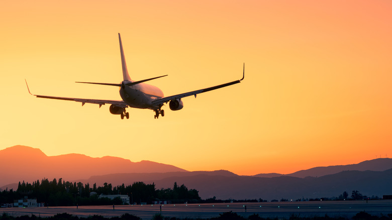 airplane landing amidst a sunset
