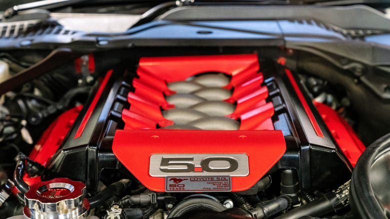 A close-up of a red-topped Ford V8 Coyote engine.