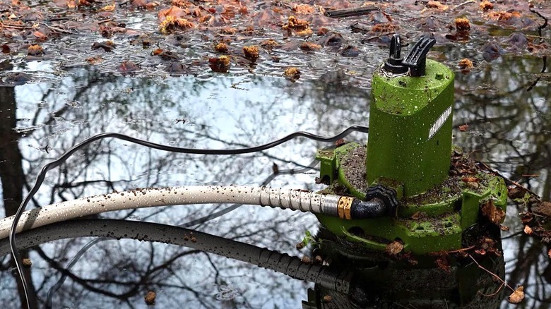 Drummond Sump Pump submersed in a backyard puddle