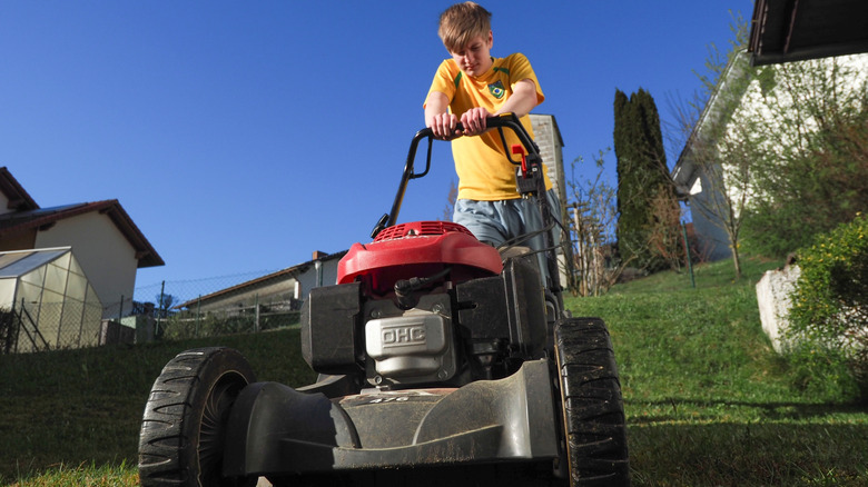 Boy cutting grass with lawnmower