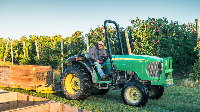 A farmer harvesting apples using a John Deere tractor with an open cab