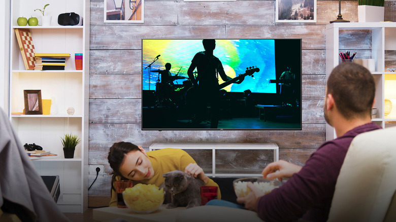 Man watching JVC TV with woman petting cat in background