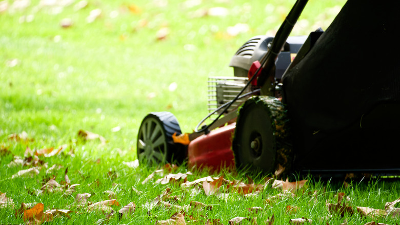 Rear 3/4 view of a stand-behind lawn mower on a big field