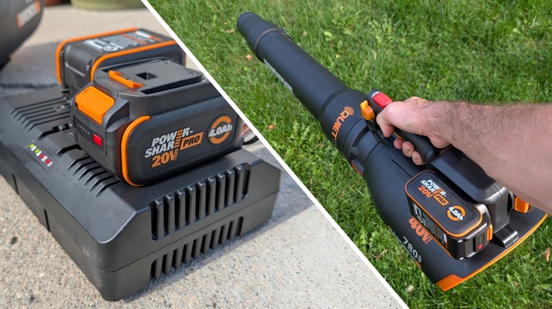 Worx leaf blower and battery charger.