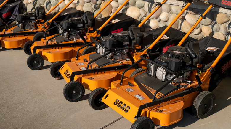 A lineup of orange Scag walk-behind mowers