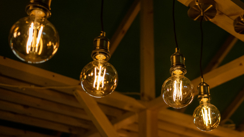 incandescent light bulbs