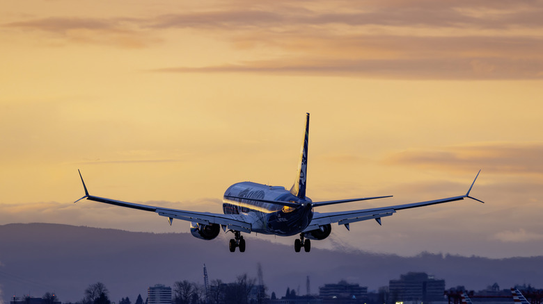 Boeing 737 taking off at sunset, rear view