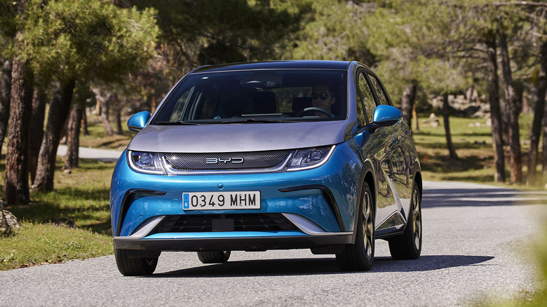 BYD Dolphin driving down one-lane country road, front-view
