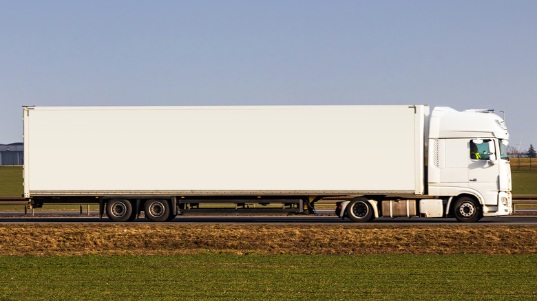 Side view of a long white semi-trailer with a grassy foreground
