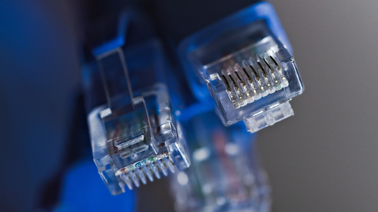 Close up of blue ethernet cables