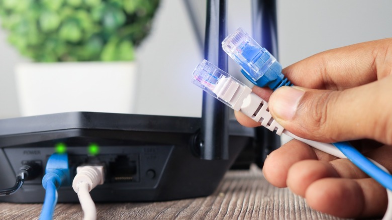 Hand holding white and blue Ethernet cables with a router in the background