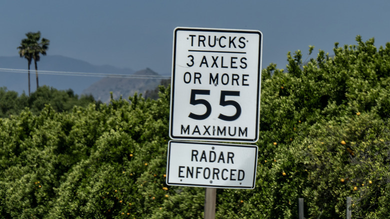 Close up view of 55 MPH truck speed limit sign with bushes and palm tree in background.