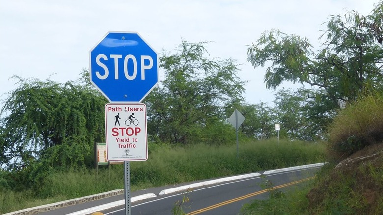 A blue stop sign with a road in the background
