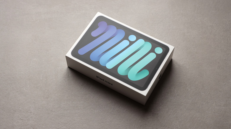 iPad mini product box