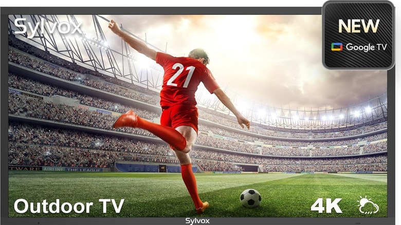 Sylvox 65 inch waterproof TV