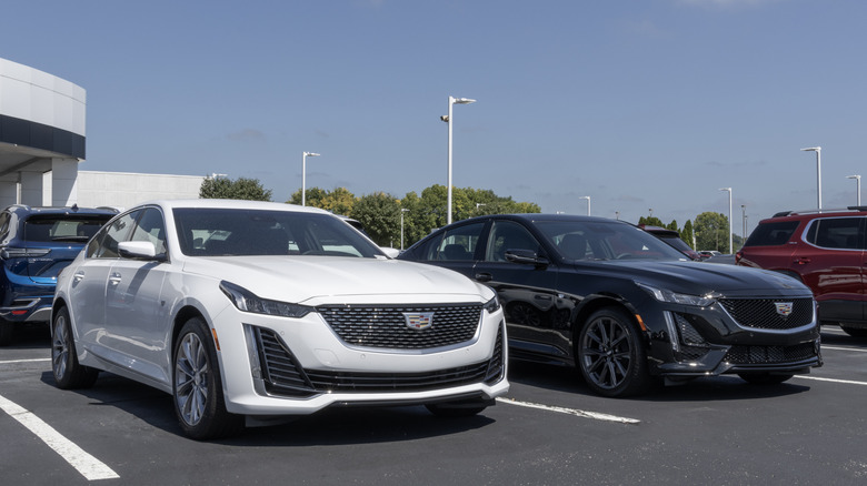 White and black Cadillac CT5 parked