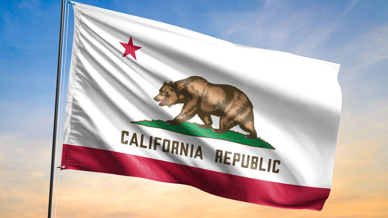 The California state flag against a sunset.